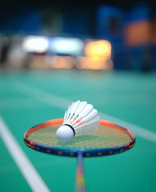 的独特魅力 的独特魅力